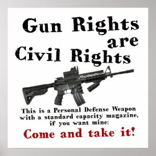 Gun Rights Poster