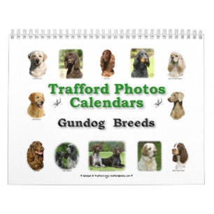 Gundog Breeds Calendar