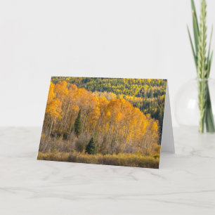 Gunnison National Forest Card