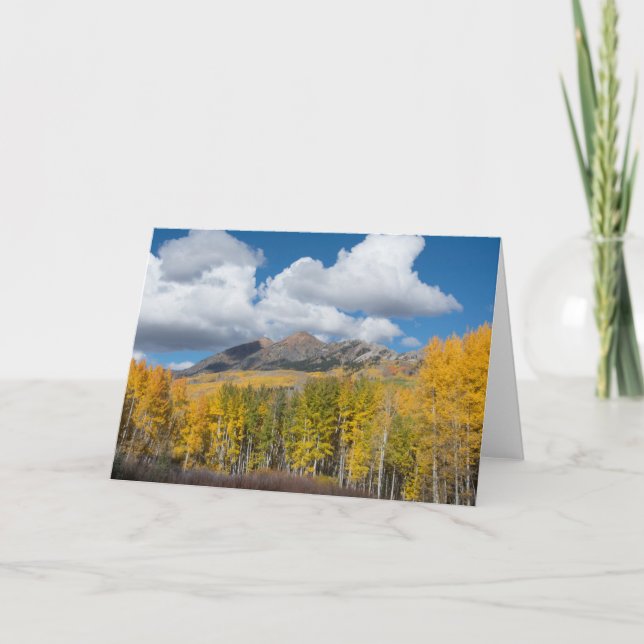 Gunnison National Forest, Colorado Card (Front)