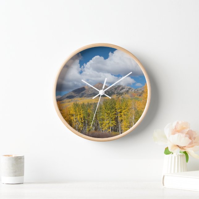 Gunnison National Forest, Colorado Clock (Home)
