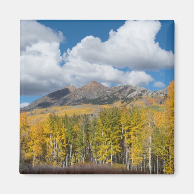 Gunnison National Forest, Colorado Magnet (Front)