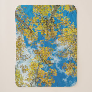 Gunnison National Forest Colorado Sherpa Blanket