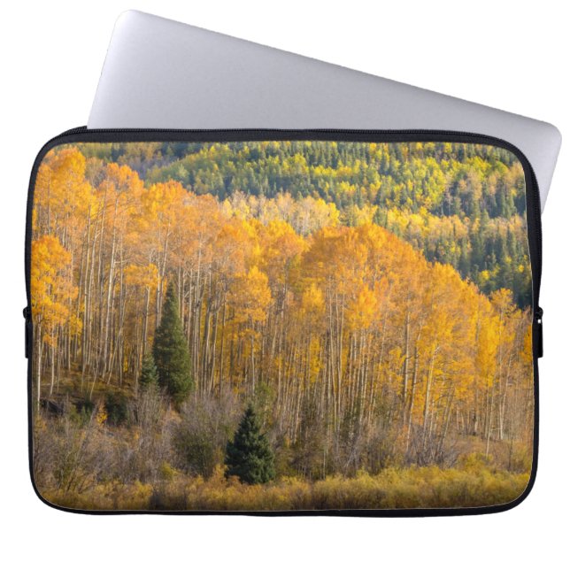 Gunnison National Forest Laptop Sleeve (Front)