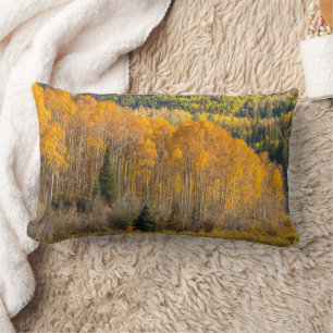 Gunnison National Forest Lumbar Cushion