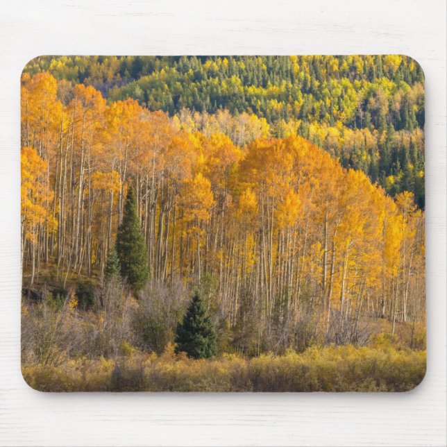 Gunnison National Forest Mouse Pad (Front)