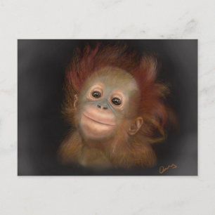 Gunung Baby Orangutan Postcard