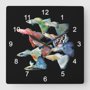 Guppies Square Wall Clock
