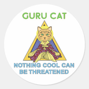 Guru Cat Nothing Cool stickers