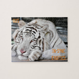 Gus - jigsaw puzzle