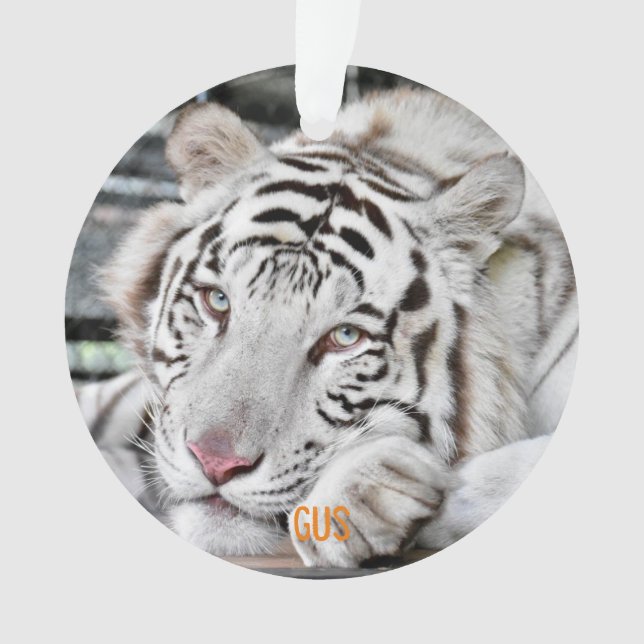 Gus - ornament (Front)