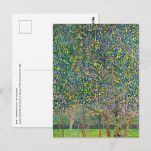 Gustav Klimt - Pear Tree Postcard