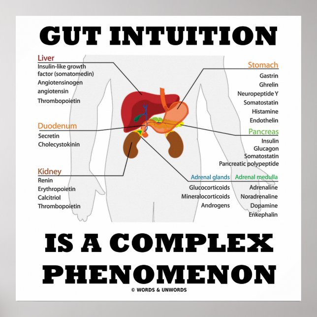 Gut Intuition Is A Complex Phenomenon Endocrine Poster (Front)