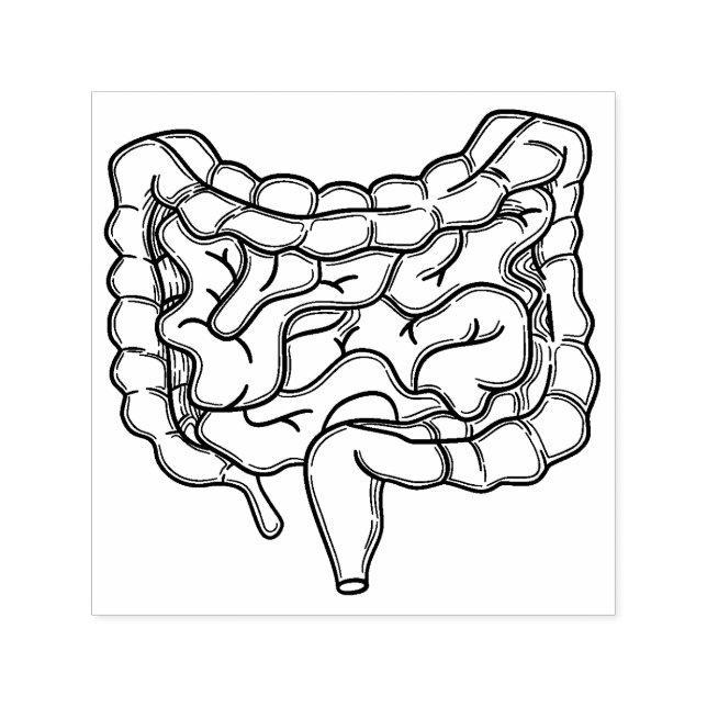 Gut Self-inking Stamp (Design)
