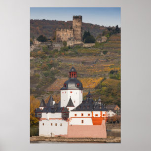Gutenfels And Pfalzgrafenstein Castles Poster