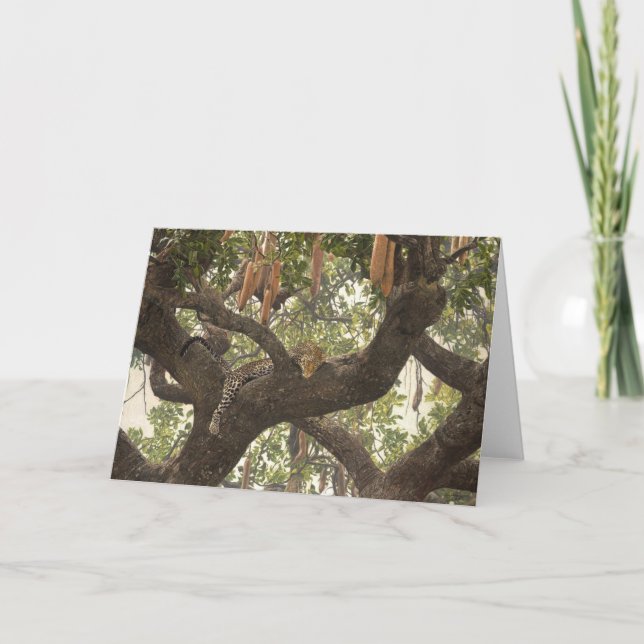 Guy Combes Wildlife Art Greeting Cards (Front)