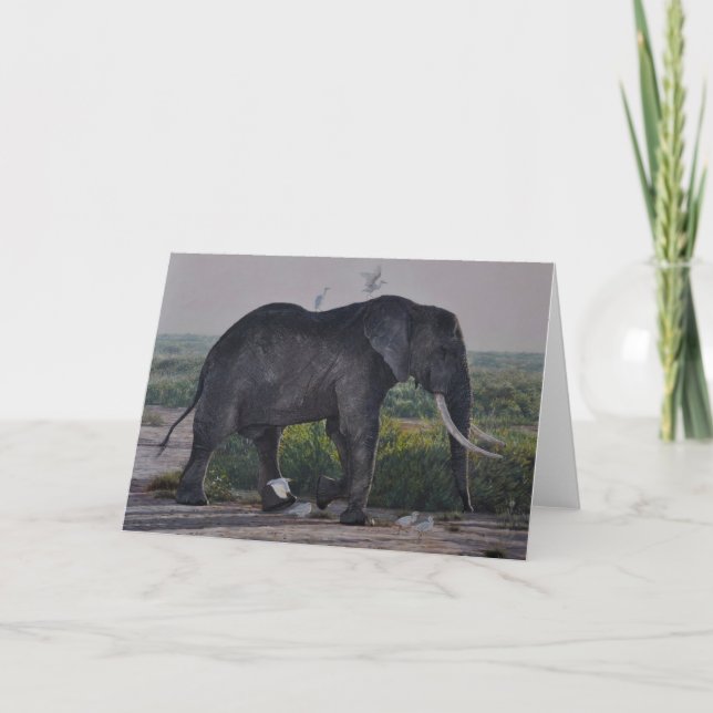 Guy Combes Wildlife Art Greeting Cards (Front)