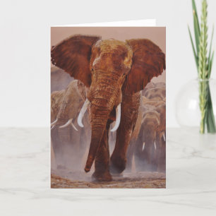 Guy Combes Wildlife Art Greeting Cards
