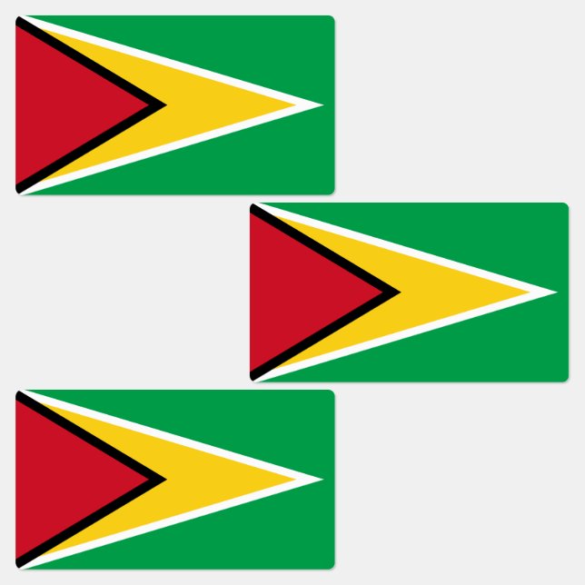 Guyana Flag (Group)