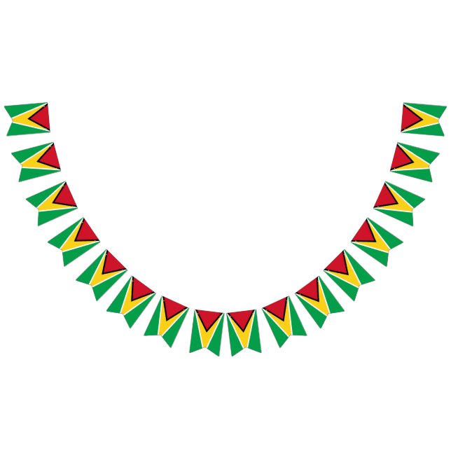 Guyana flag  (All)