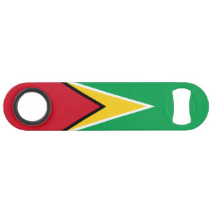 Guyana Flag