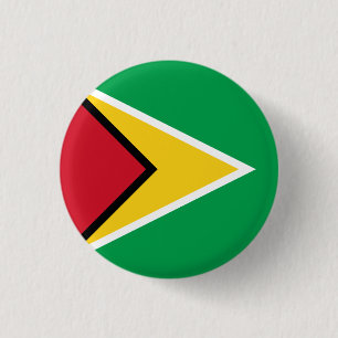 Guyana Flag 3 Cm Round Badge