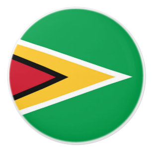 Guyana flag ceramic knob