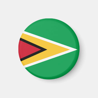 Guyana flag magnet