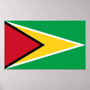 Guyana Flag Poster