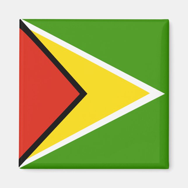 Guyana High quality Flag Magnet (Front)