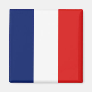 Guyane Flag Magnet