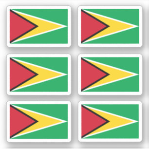 Guyanese flag