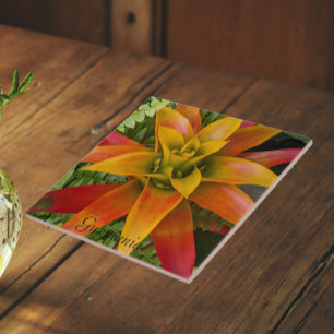 Guzmania Bromeliad Plant Floral Ceramic Tile