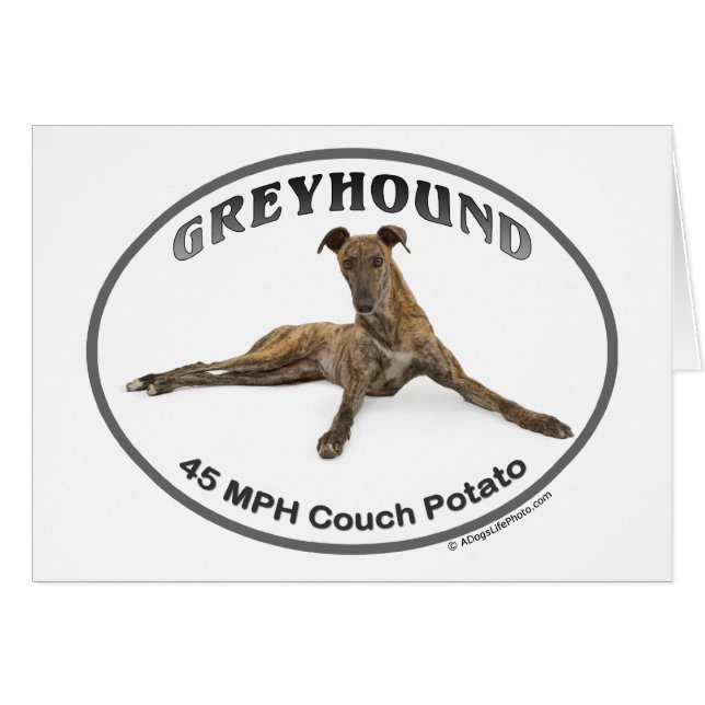 GVV 40MPH Couch Potato (Front Horizontal)