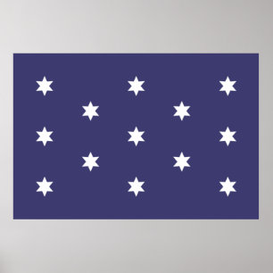 GW Flag Poster