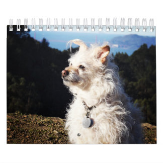 Gwendolyn 2016 Calendar