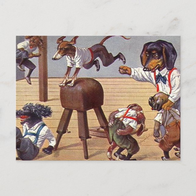 Gym Class for Dogs Postcard (Front)