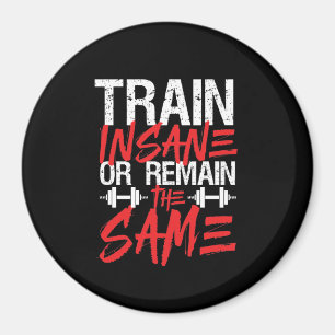 Gym Workout Fitness Train Insane Remain The Same Magnet