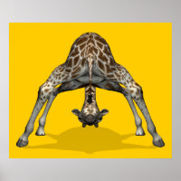 Gymnastic Giraffe
