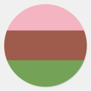 Gynosexual Pride Flag Classic Round Sticker