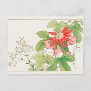 Gypsophila, Passion flower by Tanigami Konan Postcard
