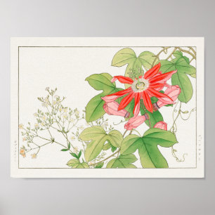 Gypsophila, Passion flower by Tanigami Konan Poster