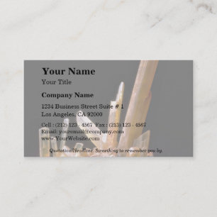 Gypsum Business Card