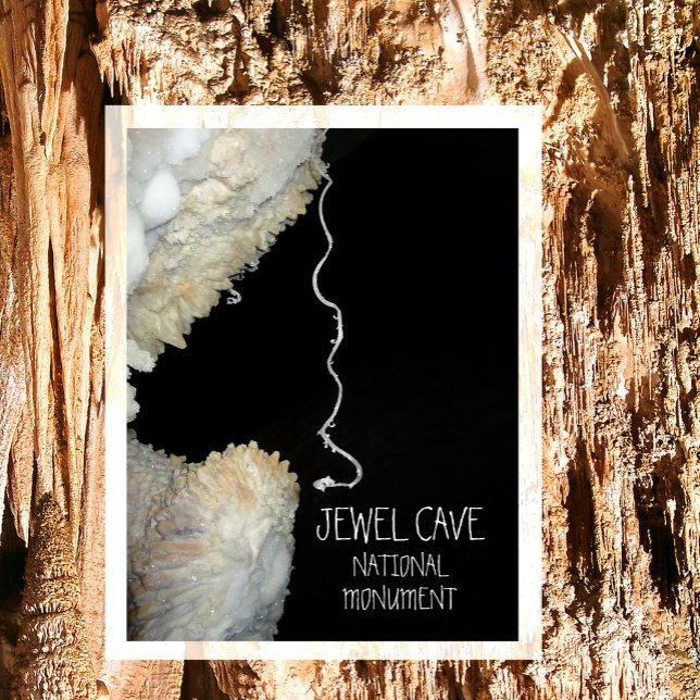 Gypsum Flower Tendril Jewel Cave National Monument Postcard (Creator Uploaded)
