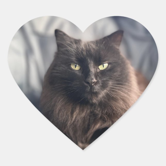 Gypsy - Black Cat Stickers (Front)