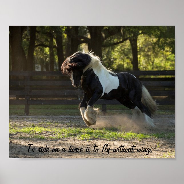 Gypsy Gold Gypsy Vanner takes flight Poster (Front)