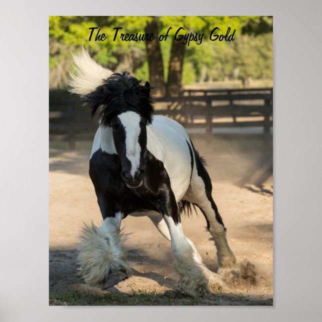 Gypsy Gold Gypsy Vanner Treasure poster (Front)