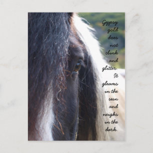Gypsy Gold Postcard