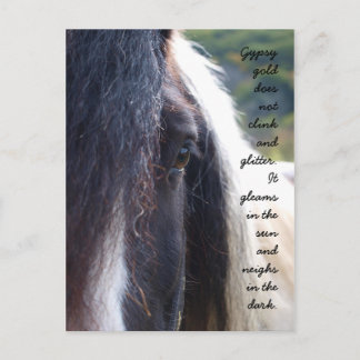 Gypsy Gold Postcard