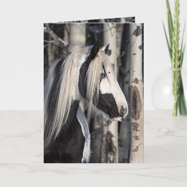 Gypsy in the Forest - Holiday Horse Greeting Card (Front)